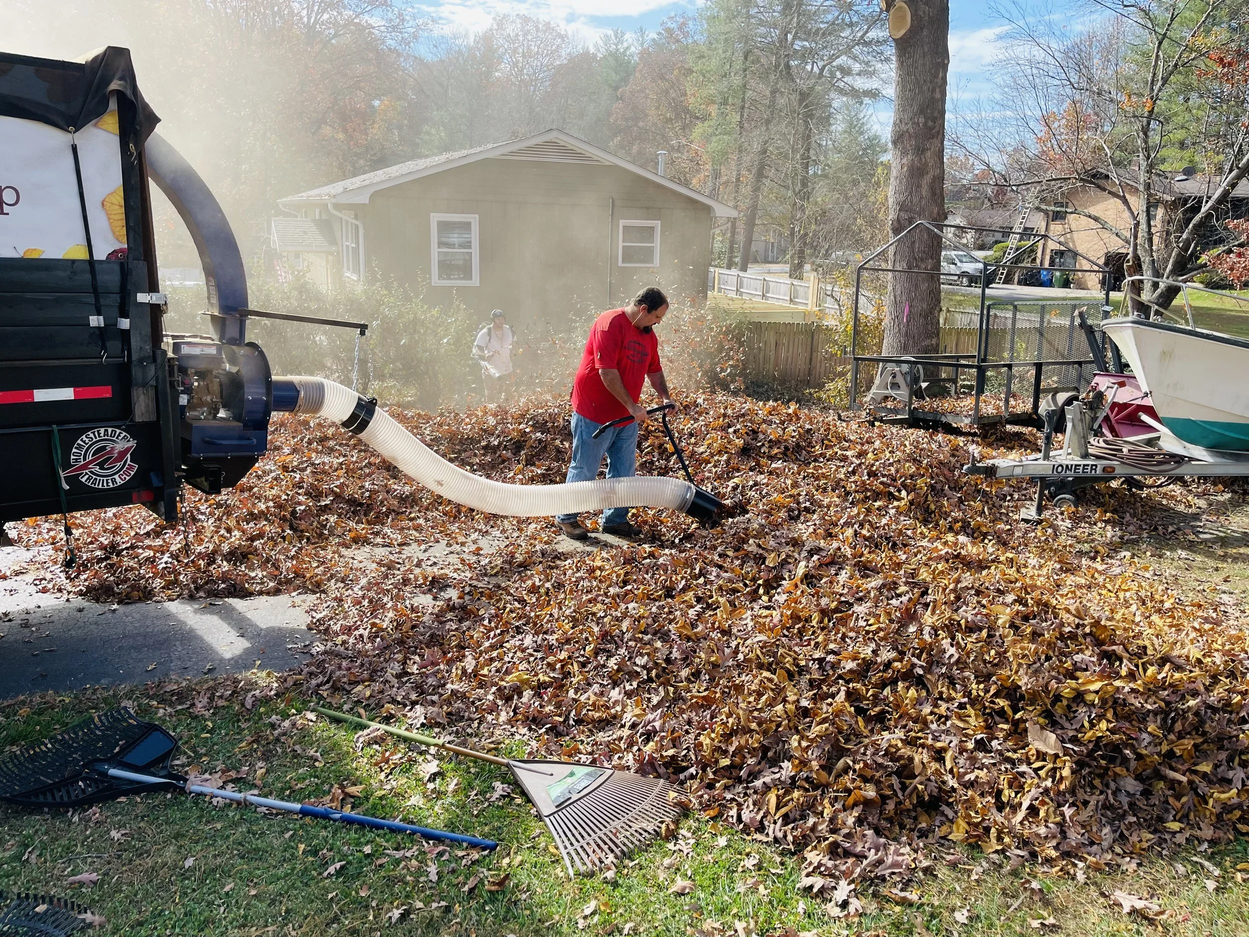 Landscaping services in Spring