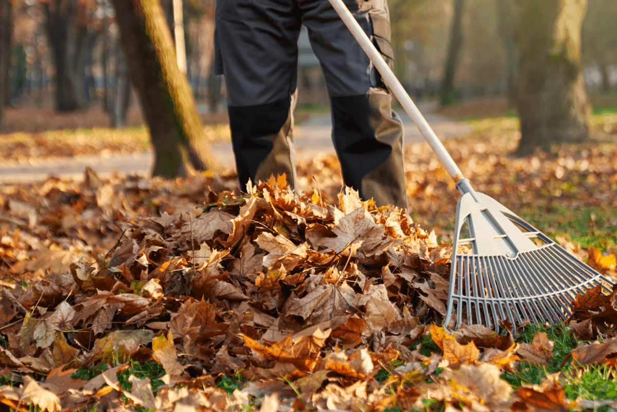 Landscaping services in Spring