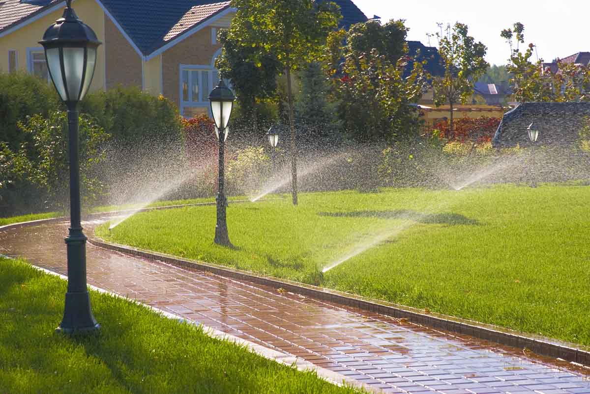 View leaf removal project in Spring