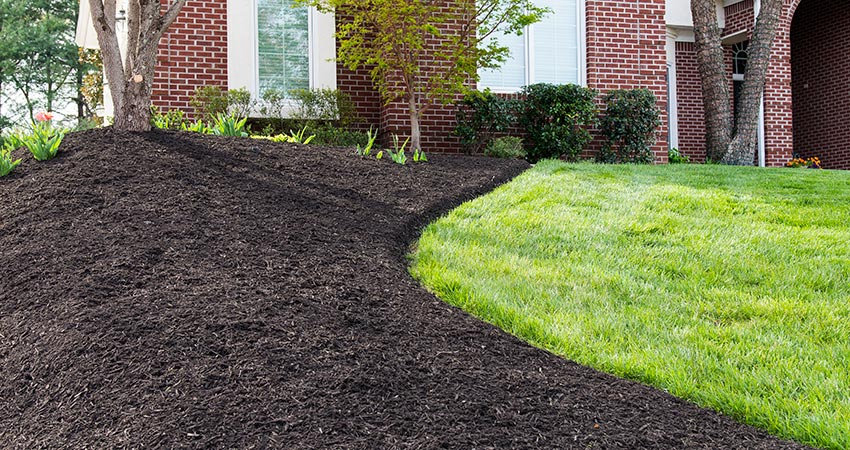 Mulch Installation example 2